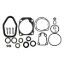 EMP LOWER GEARCASE SEAL KIT - 2600082