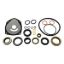 EMP LOWER GEARCASE SEAL KIT - 2600834