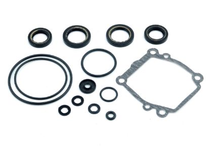 EMP SEAL KIT  GEAR HOUSING - 2611002