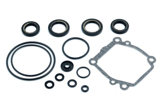 EMP SEAL KIT  GEAR HOUSING - 2611002