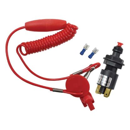 EMP CUT-OFF SWITCH WITH LANYARD - 2840970