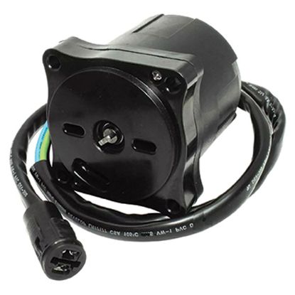 EMP TRIM MOTOR - 30055545