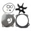 EMP IMPELLER SERVICE KIT - 4613163