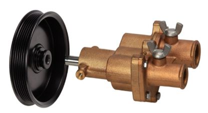 EMP WATER PUMP ASSY W/PULLEY - 4646302