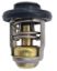 EMP THERMOSTAT - 7502662