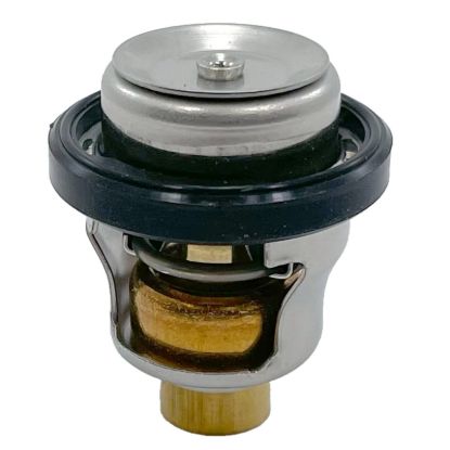 EMP THERMOSTAT 60 C - 7502664