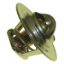 EMP THERMOSTAT 160 DEG. - 7503058