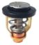 EMP THERMOSTAT 60? - 7575523
