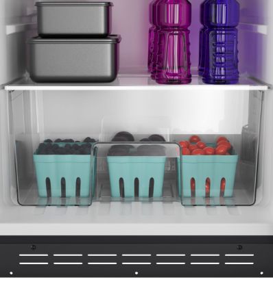 GE APPLIANCE GE PROFILE 10 CU.FT. DC TOP-FREEZER - PV10R5YRSS