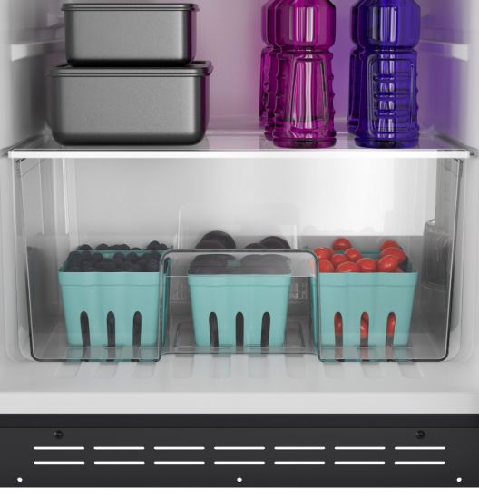 GE APPLIANCE GE PROFILE 10 CU.FT. DC TOP-FREEZER - PV10R5YRSS