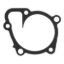 FELPRO WATER PUMP GASKET - 36168