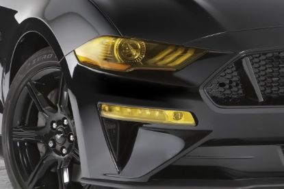 GT STYLING FRONT TURN SIGNAL COVERS  2 PC. - GT0253TSY