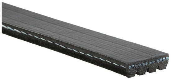 GATES CORP V-RIBBED BELT - K040336