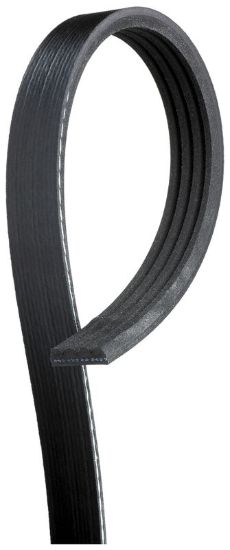 GATES CORP V-RIBBED BELT - K040372