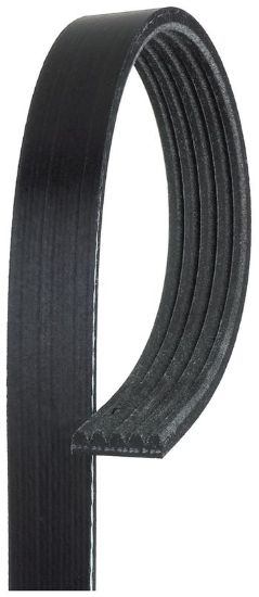 GATES CORP V-RIBBED BELT - K050350