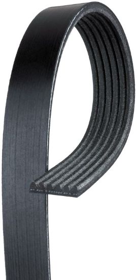 GATES CORP V-RIBBED BELT - K060458