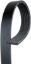 GATES CORP V-RIBBED BELT - K060458