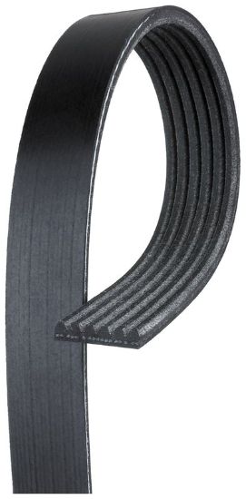 GATES CORP V-RIBBED BELT - K060795