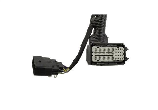 FORD ENGINE HARNESS 5.0L TIVCT AUTOMATIC - M12508M50A