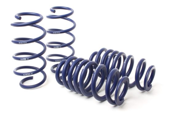H&R LOWERING SPRINGS FOR THE 2020 FORD - 51632