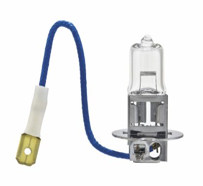 HELLA BULB 12V 100W PK22S T3.25 - H3100W