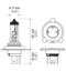 HELLA BULB 24V 100/90W P43T T4. - H424V10090