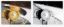 KEELGUARD SCUFFBUSTER BOW GUARD XL NOTCHED - 80638