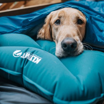KLYMIT PILLOWS - 12PLTL01D