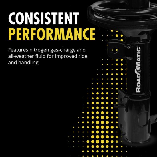 MONROE SHOCK ROADMATIC STRUT ASSEMBLY - 181589