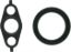 CLEVITE 77 TIMING COVER SET - JV5067