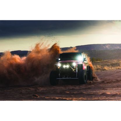 RIGID IND Q-SERIES PRO FLOOD - 244113