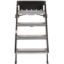 MOR/RYDE STEP ABOVE RV ENTRY STEP - STP211