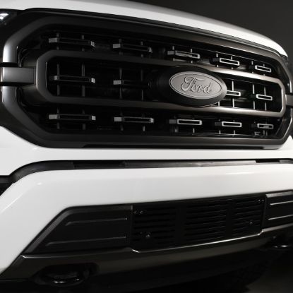 PUTCO FORD SUPER DUTY - HEX SHIELD DESIGN - 83172