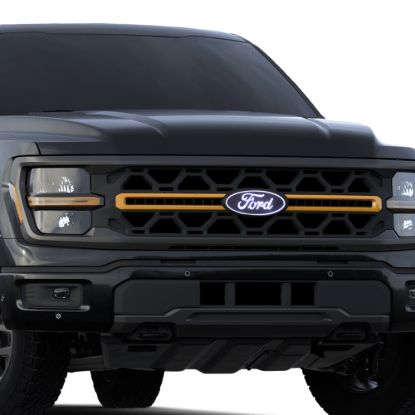 PUTCO FORD F-150 FRONT EMBLEM - WITH CAME - 92609