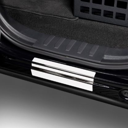 PUTCO SS DOOR SILLS 15-16 F150 - 95150FD