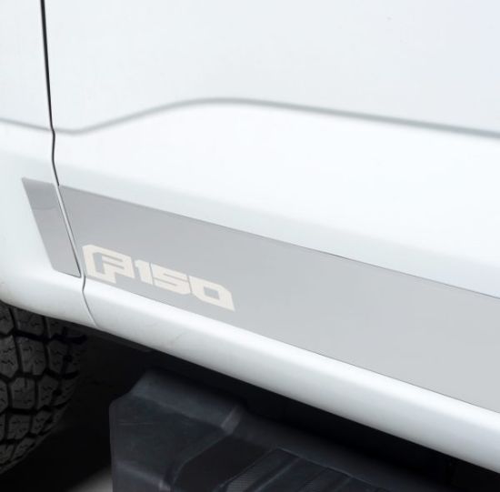 PUTCO FORD LIC. SS ROCKER PANELS FITS; 20 - 9751469FD