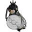 REMY INTL IMPORT STARTER - 17529
