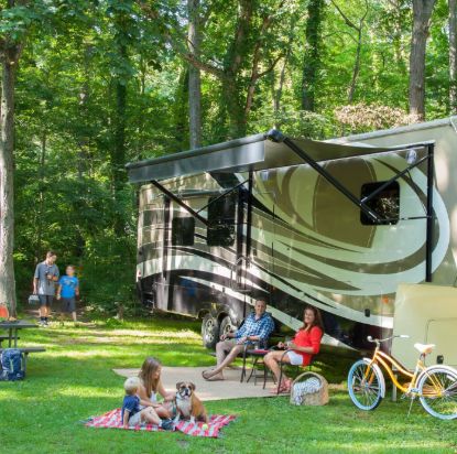 LIPPERT COMP SOLERA AWNING - 390189