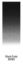 LIPPERT COMP CANVAS-13' BLKWH-PREPFLEX-TUBE - V000521765