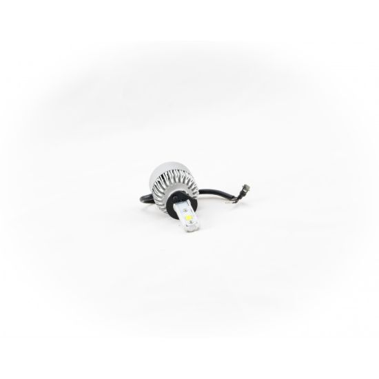 ODX H1 INTENSE LED BULB (BOX OF 2) - INTENSEH1