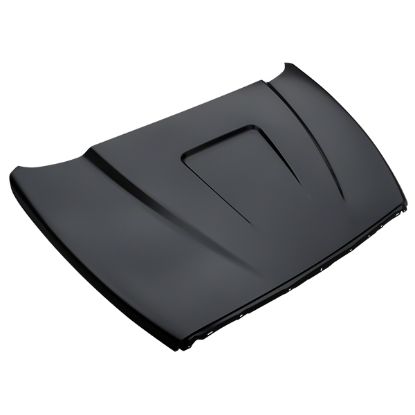 PROEFX COWL HOOD PANEL;02-08 RAM - EFXDG02V1