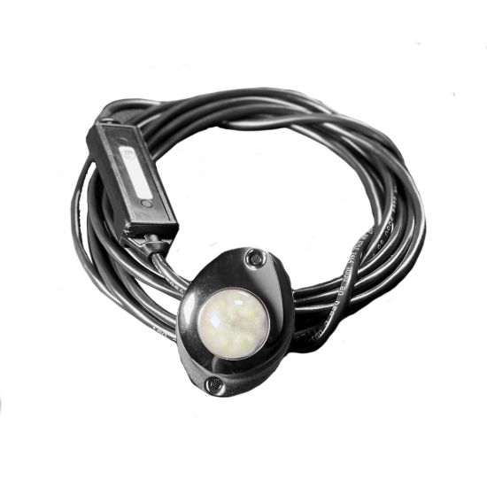 GOST GOST STROBE LIGHT WHITE - GASTROBEWH