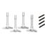 PROFORM CHEVY VALVE COV WING NUTS - 141902