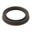 NATIONAL OIL SEAL - 710949