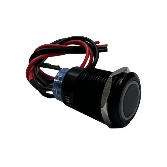 RACESPORT LT 12V 19MM MOMENTARY FUNCTION PRE-WIR - RSMB19MMW