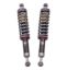 READYLIFT TOYOTATACOMAFALCON SHOCKS - 9254340