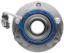 RAYBESTOS WHEEL HUB ASSEMBLY - 713121