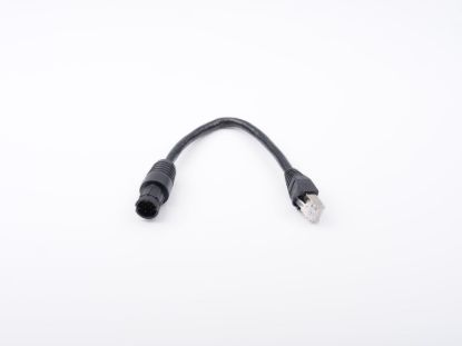 RAYMARINE RAYNETMALETORJ45MALEADAPTORCBL - A80513