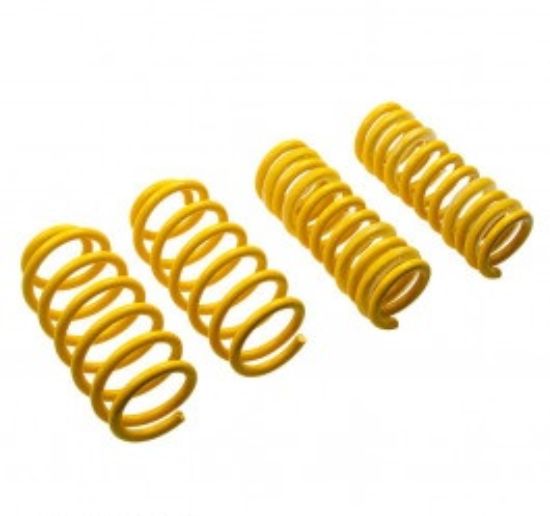 SUSPENS TECH SPRINGS MUSTANGS550 15+ W/ ELC SUSP - 28230072