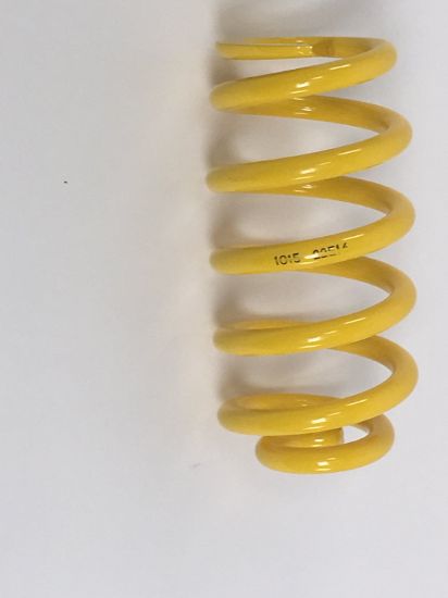 SUSPENS TECH REAR COIL SPRING AUDI 03 REPLACE - 60210000